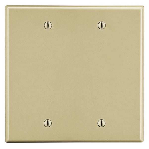 Blank Box Mount Wall Plate, Number of Gangs: 2 Plastic, Smooth Finish, Ivory