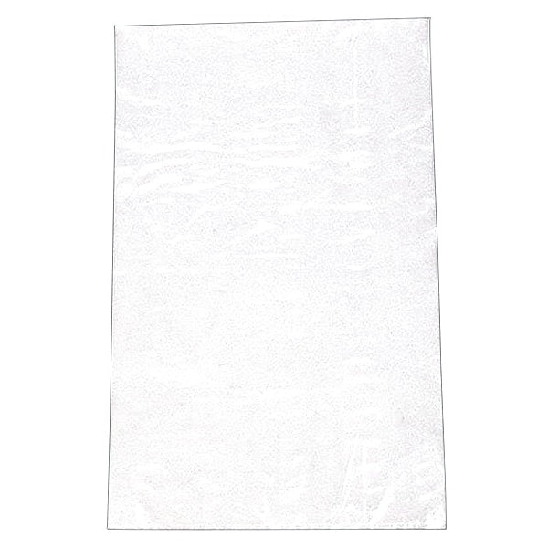 Unprinted Ice Bags, 10 lb, 21 in, PK1000