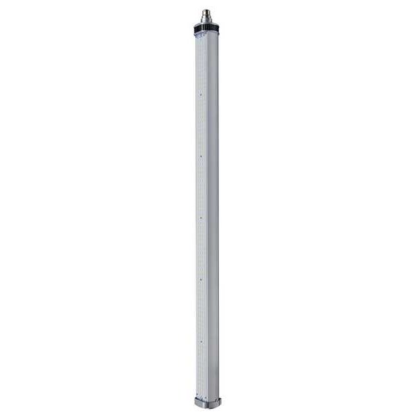 LED Bulb, T17,2200K, 11,576 lm, 100W