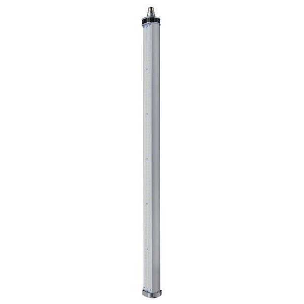 LED Bulb, T17,4000K, 15,472 lm, 100W