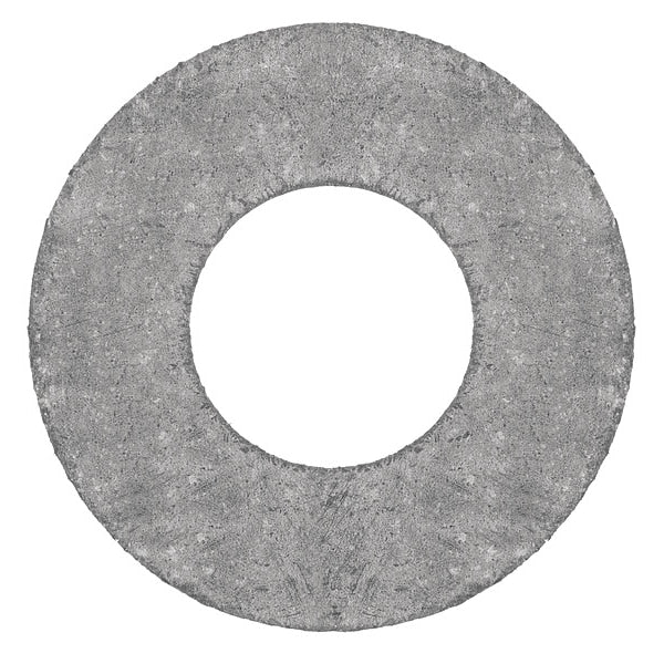 Raised Face Graphite Flange Gasket for 4