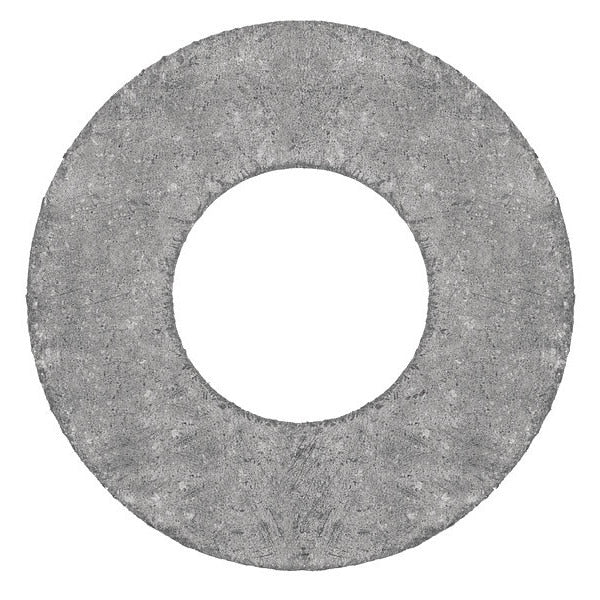 Raised Face Graphite Flange Gasket for 3