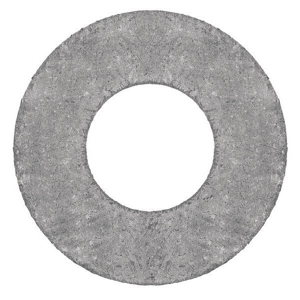 Raised Face Graphite Flange Gasket for 6