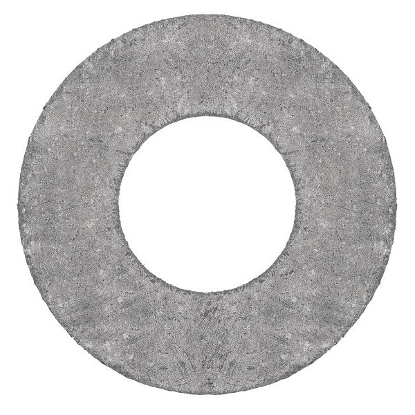 Raised Face Graphite Flange Gasket for 3