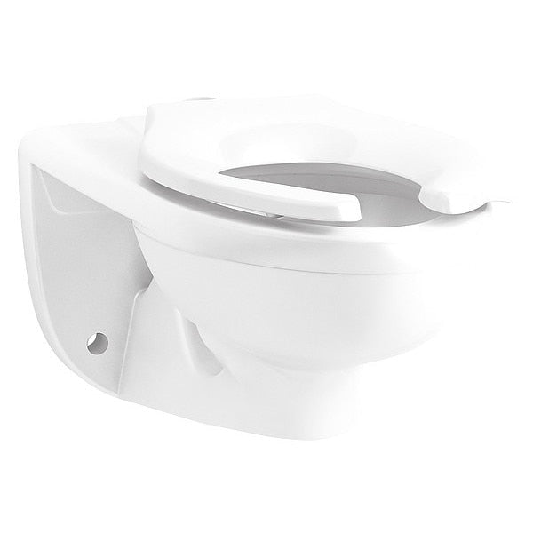 Toilet Bowl, Wall Mount, Elongated Shape
