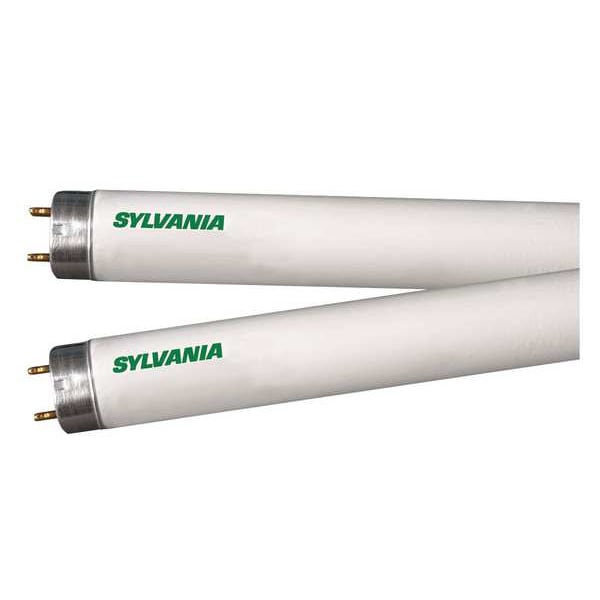 Linear Fluorescent Bulb, 32W, 4100K
