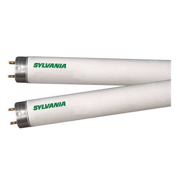 Linear Fluorescent Bulb, 32W, 4100K, Lumens: 2950 lm