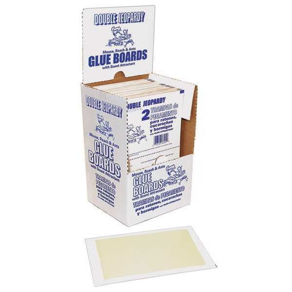 Double Jeopardy Glue Board, PK72