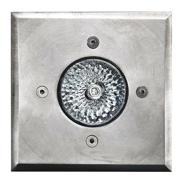 Well Light, 310 SS, In-Ground