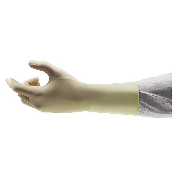 Disposable Gloves Latex Powder Free Natural 10 200 PK