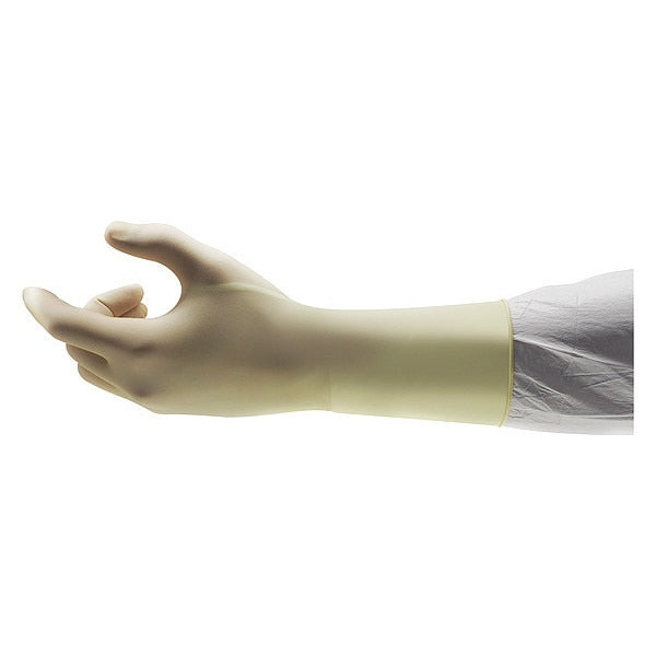 Disposable Gloves Latex Powder Free Natural 10 200 PK