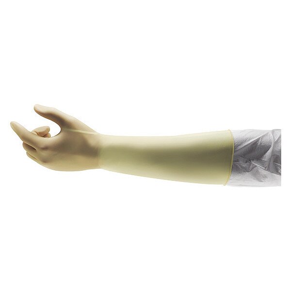 Disposable Gloves Latex Powder Free Natural M 200 PK