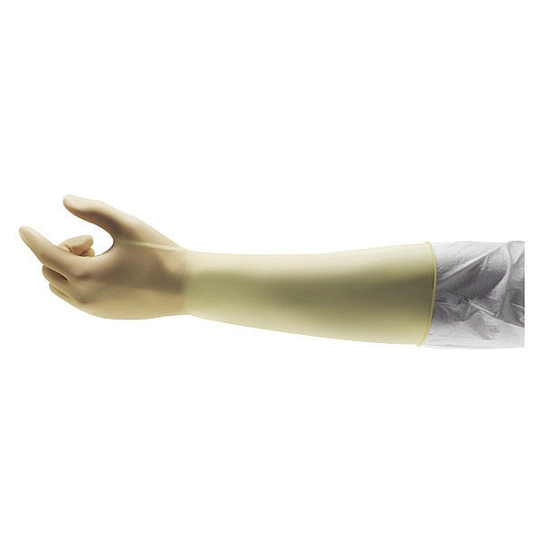 Disposable Gloves Latex Powder Free Natural S 200 PK