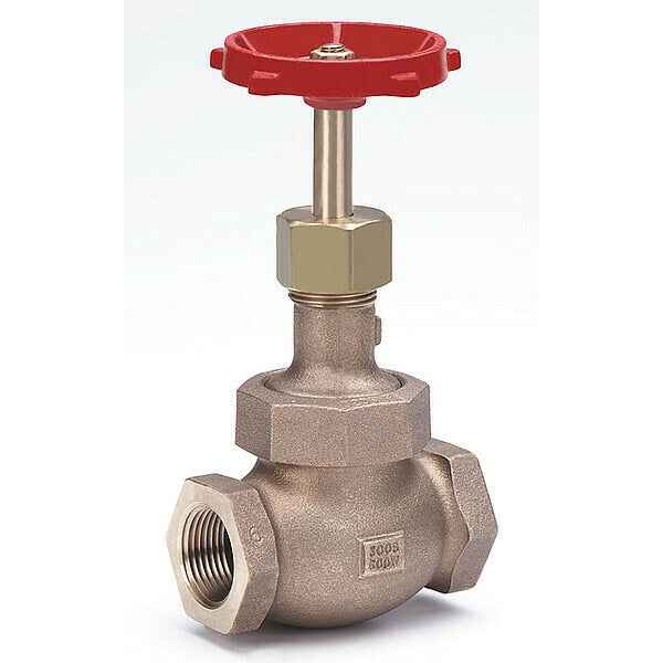 Globe Valve, Class 300, 1 In.