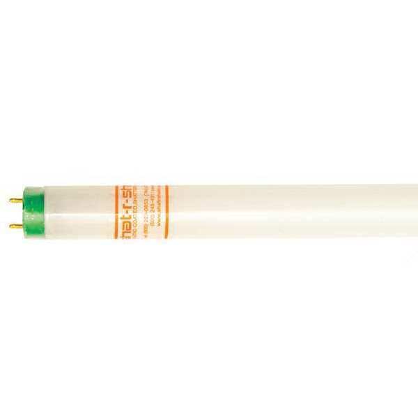 Fluorescent, 24
