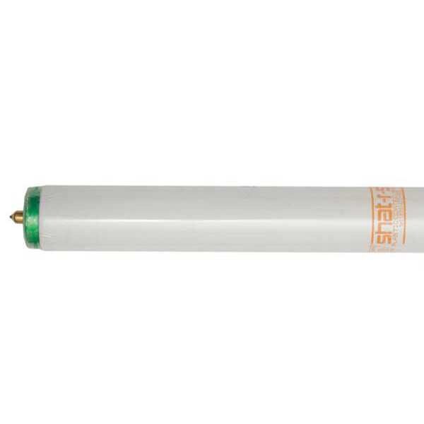 Fluorescent, 39W, T12 CW, 4', 4100K, PK30