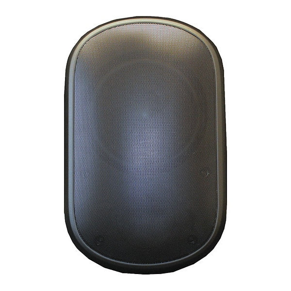 Weather-Resistant, Wall-Mount Speaker Blk