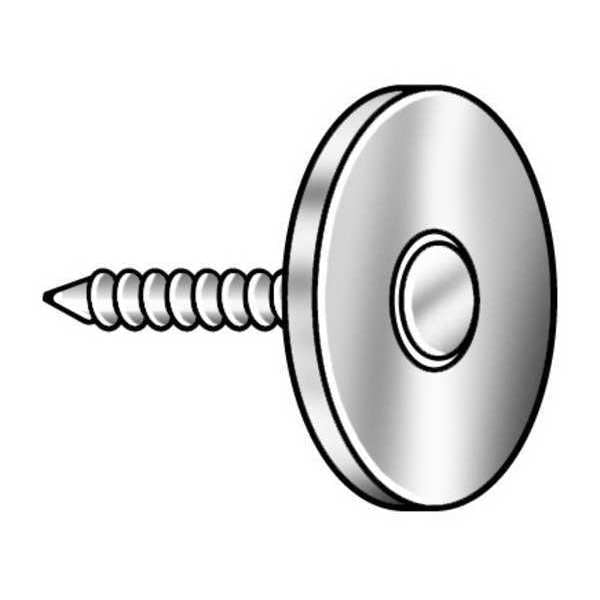 Cap Nail, 1In L, PK300