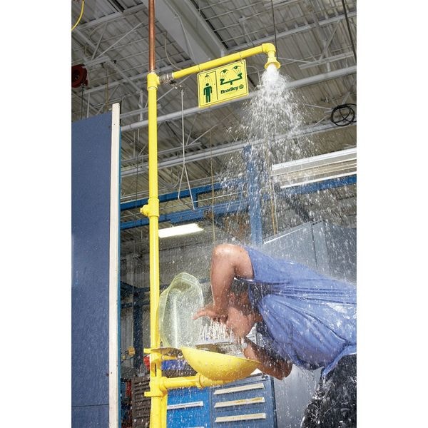 Safety Shower and Eye/Facewash