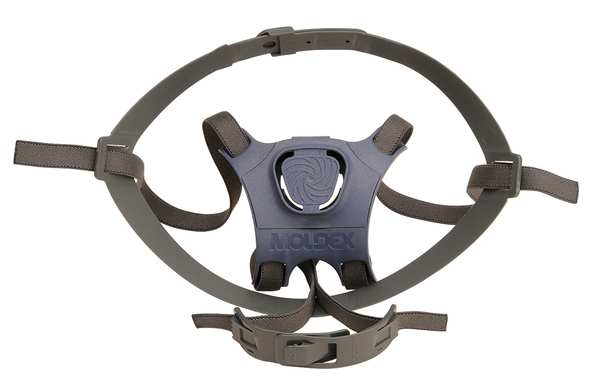 Head Harness