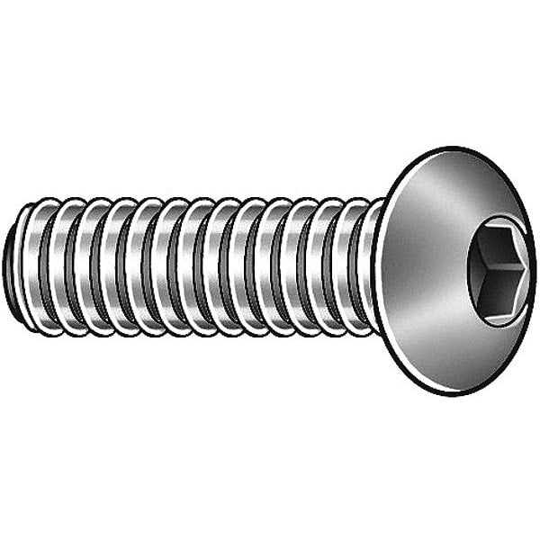 M12-1.75 Socket Head Cap Screw, Plain Stainless Steel, 55 mm Length, 5 PK