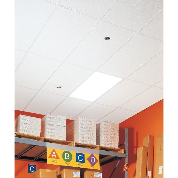 Shasta Ceiling Tile, 24 in W x 48 in L, 16 PK