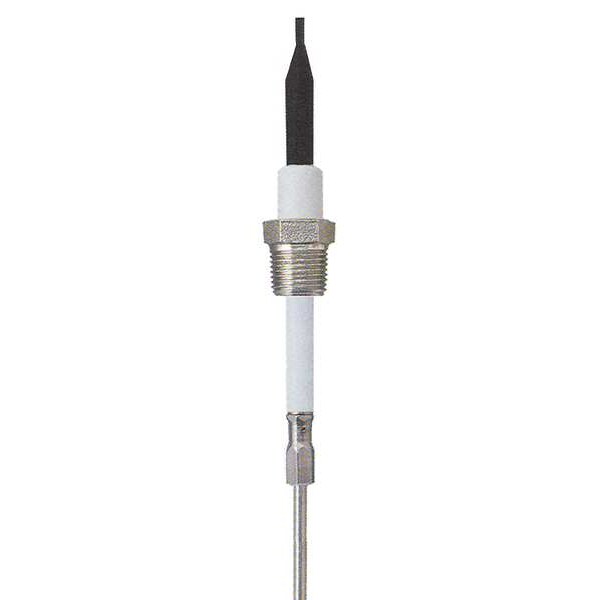 Liquid Probe, 12 In, 3/8 NPT, 10 Ft Cable