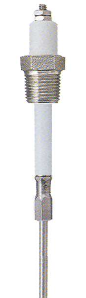 Liquid Level Probe, 12 In, 3/4 NPT