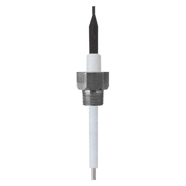 Liquid Level Probe, 12In, 3/4NPT, PTFE, 10Ft