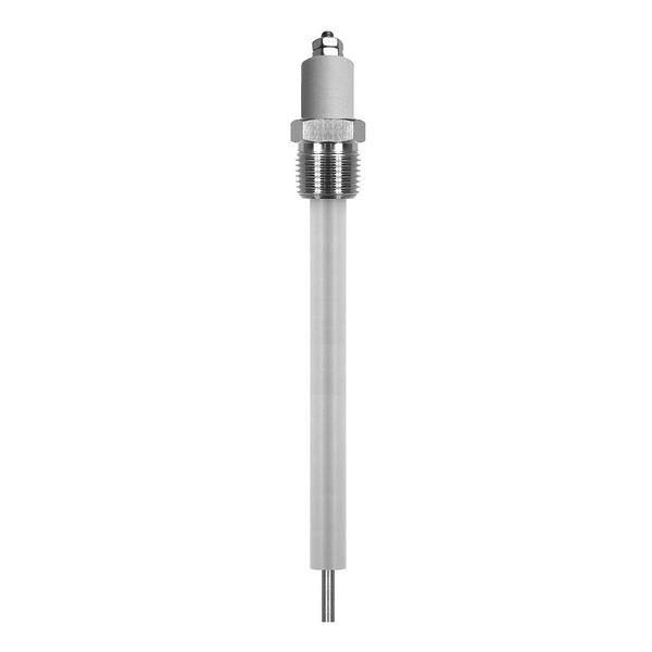 Liquid Level Probe, 12In, 3/8 NPT, PTFE