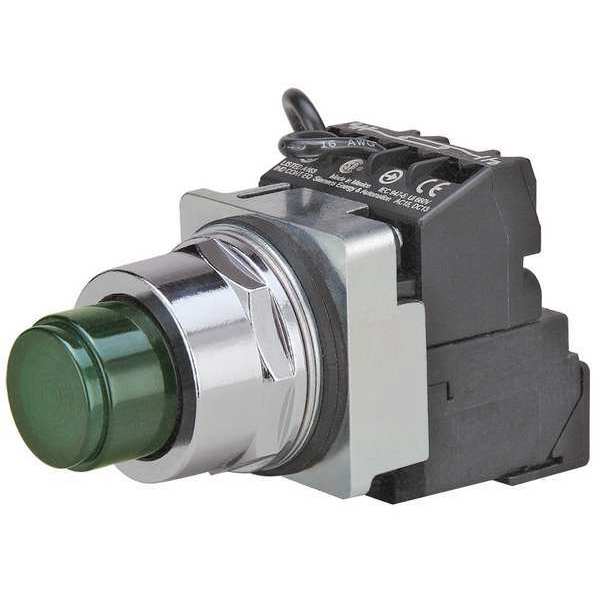 Illuminated Push Button, 30 mm, 1NO/1NC, Green