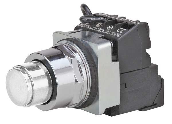 Illuminated Push Button, 30 mm, 1NO/1NC, White
