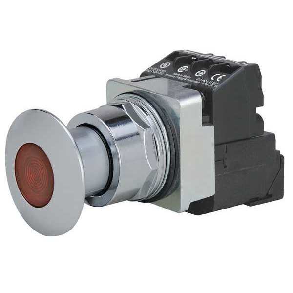 Illuminated Push Button, 30 mm, 1NO/1NC, Red