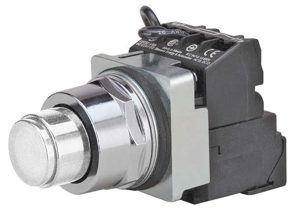 Illuminated Push Button, 30 mm, 1NO/1NC, White