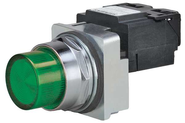 Pilot Light Complete, Incand, 120V, 30mm, GR