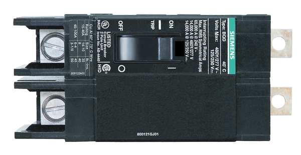 Miniature Circuit Breaker, 80 A, 480V AC, 2 Pole, Bolt On Mounting Style, BQD Series