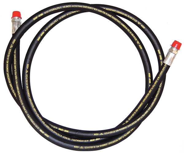 Output Hose, High Pressure, 10 Ft, 1000psi