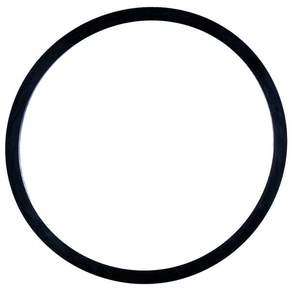 Gasket, In-Line, EPR, Bell & Gossett, DG0092