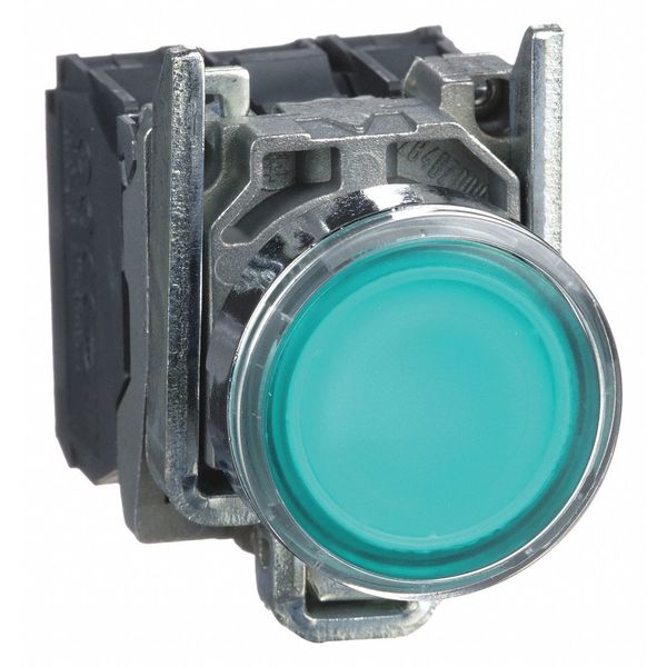 Illuminated Push Button, 22 mm, 1NO/1NC, Green