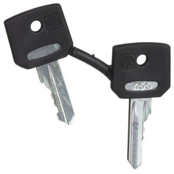 Set of Keys, Replacement, 22mm