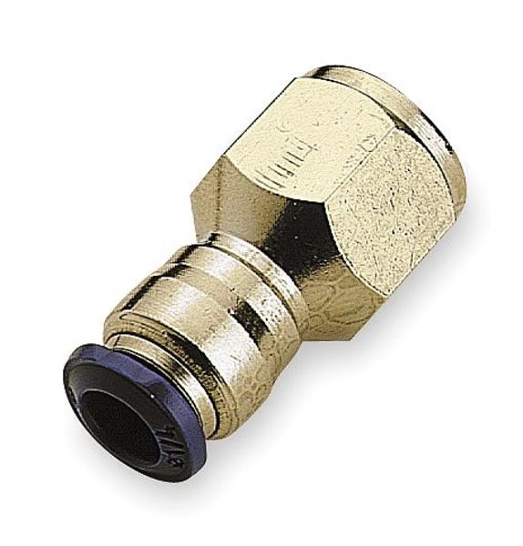 Female Pipe, 1/4