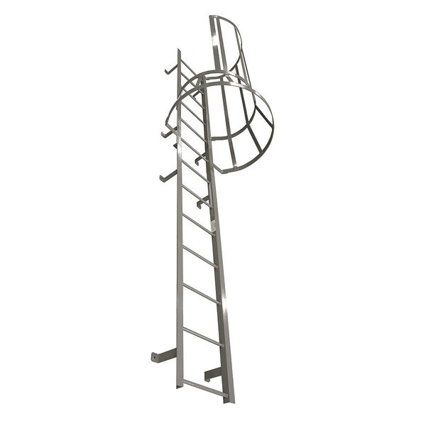 16 ft 3 in Fixed Ladder with Safety Cage, Steel, 17 Steps, Left Exit, Powder Coated Finish