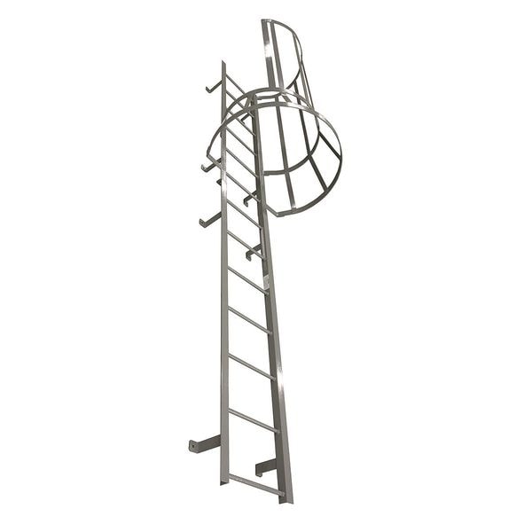 14 ft 3 in Fixed Ladder with Safety Cage, Steel, 15 Steps, Left Exit, Powder Coated Finish