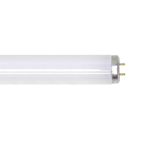 Fluorescent Lamp, T12, Daylight, 6500K