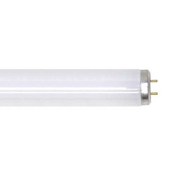 Fluorescent Lamp, T12, Very Cool, 5000K