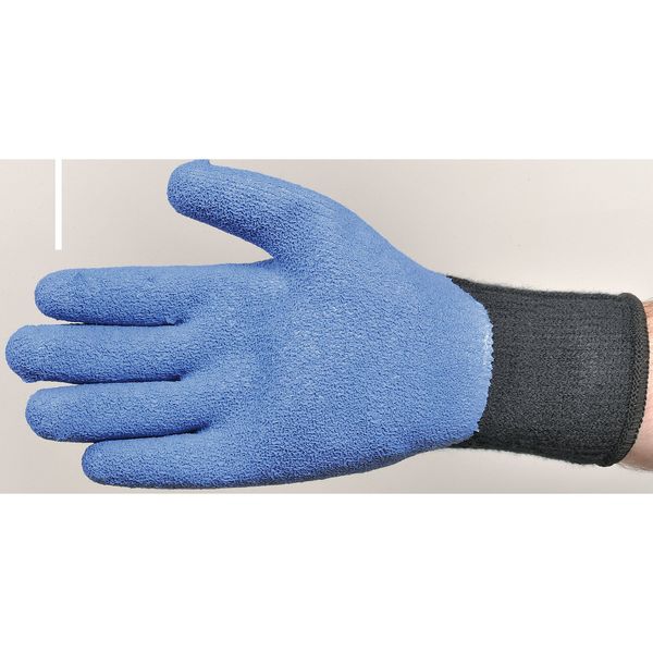 Coated Gloves, L, Black/Blue, PR