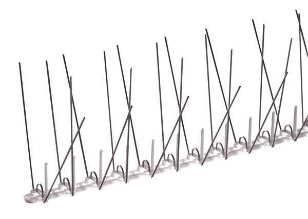 Bird Repellent Spikes, 10 ft. L