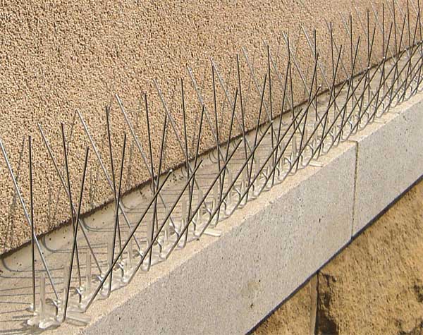 Bird Repellent Spikes, 10 ft. L