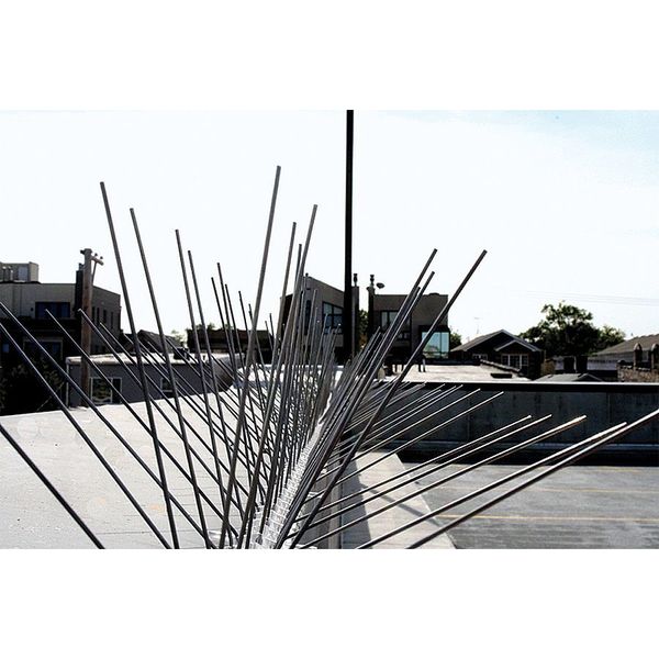 Bird Repellent Spikes, 10 ft. L