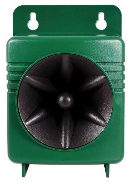 Remote Speaker